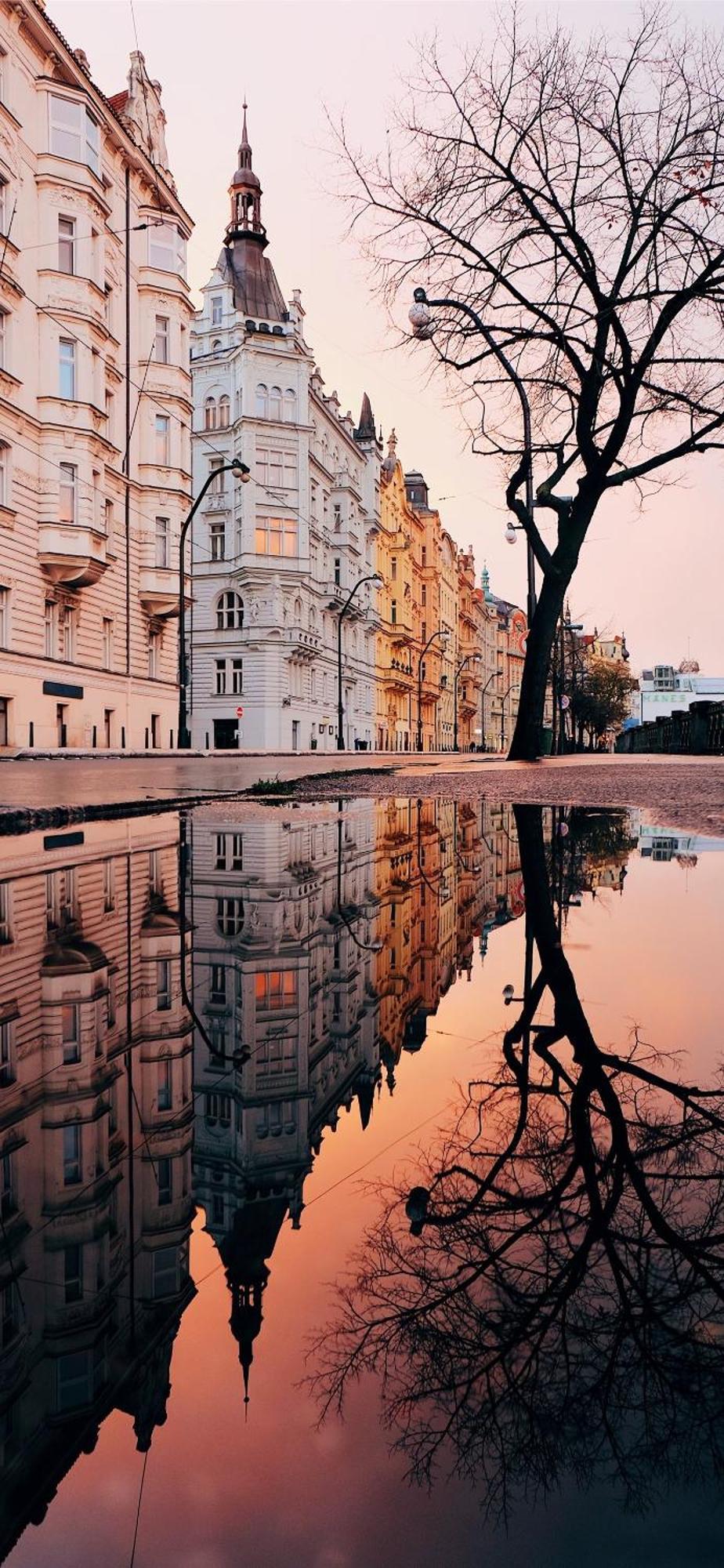 Center Of Prague Apartment 369 Dış mekan fotoğraf